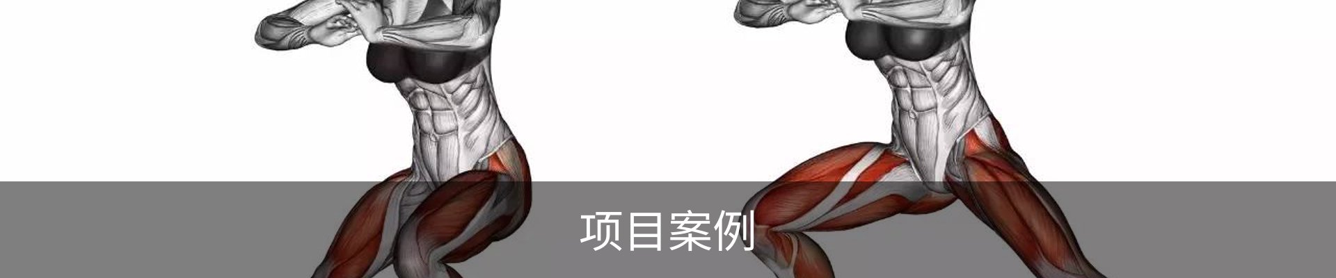 项目案例